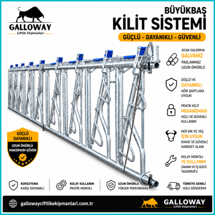 Büyükbaş Kilit Sistemi Galvaniz Yem Kilidi Galloway