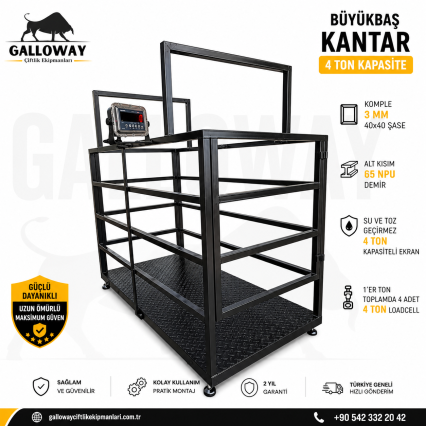 Büyükbaş Kantar