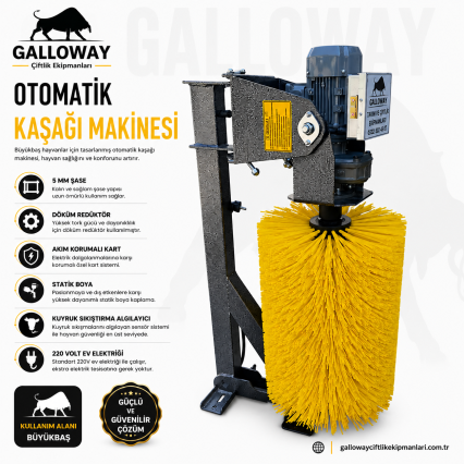 Otomatik Kaşağı
